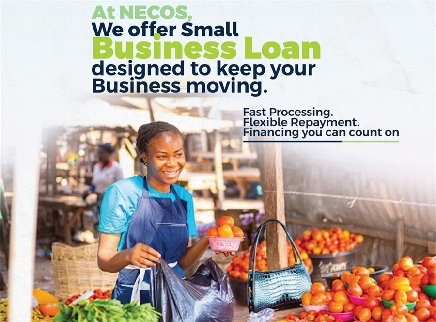 NECOS business loan poster, a market vendor at her produce stall